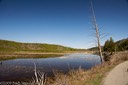 Flooded Madison River meadow