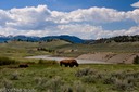Lamar Valley