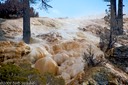 Travertine claiming the forest